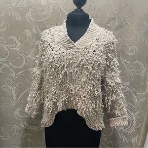 Express sweater v neck